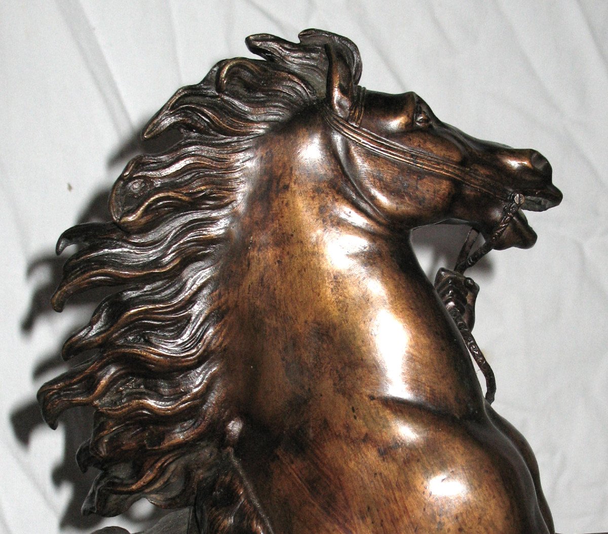 Cheval de Marly en bronze d'après G. Coustou époque 19ème-photo-6