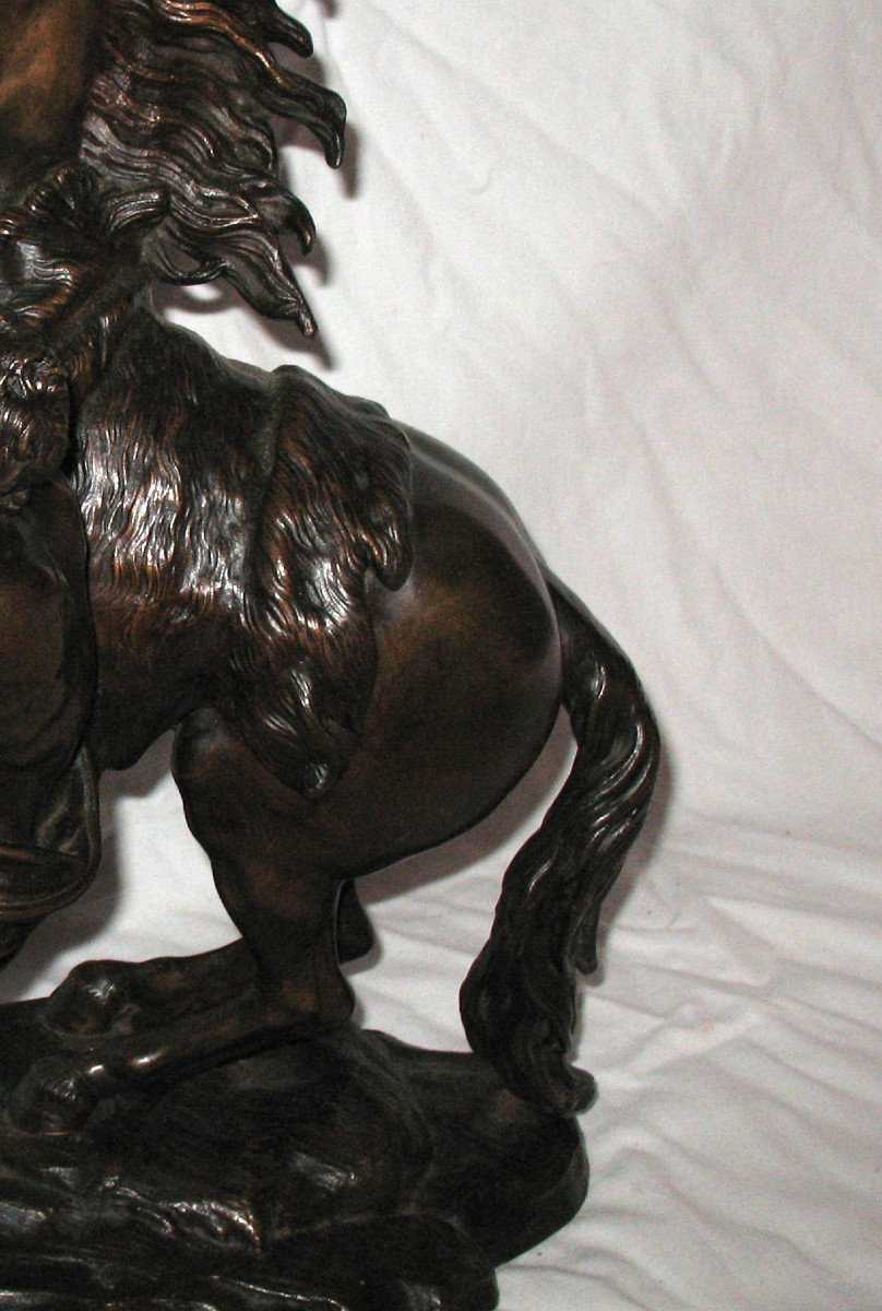 Marly Horse In Bronze After G. Coustou-photo-8