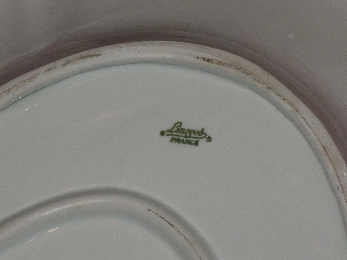 Large Limoges Porcelain Presentation Dish With Bird Decoration-photo-5