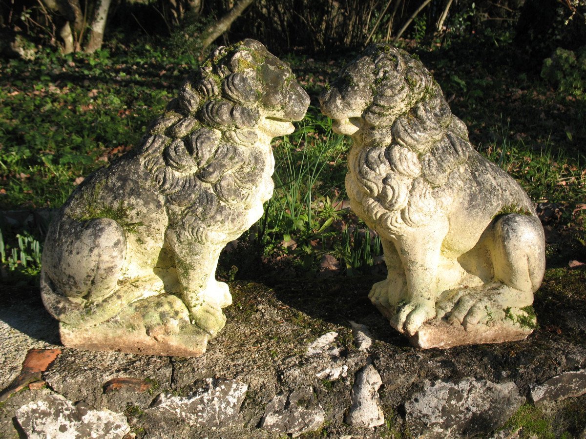 Paire de lions assis en pierre reconstituée époque milieu 20ème-photo-3