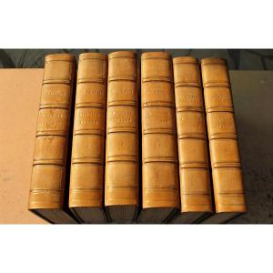 Histoire de Lyon par P. Clerion en 6 tomes avec 54 planches HT reliure dos cuir édition de 1829