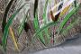 1822592-alb-6aaa8a972757f.jpg