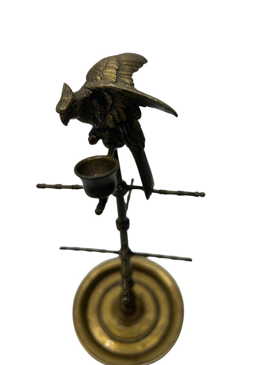 Baguier au perroquet -photo-2