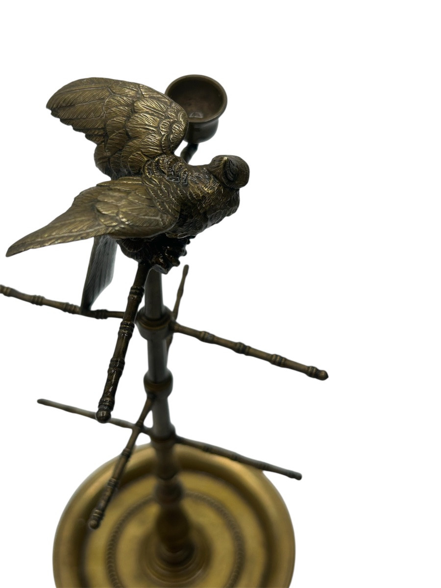 Baguier au perroquet -photo-4