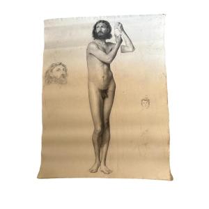 Nude Drawing Of A Man 