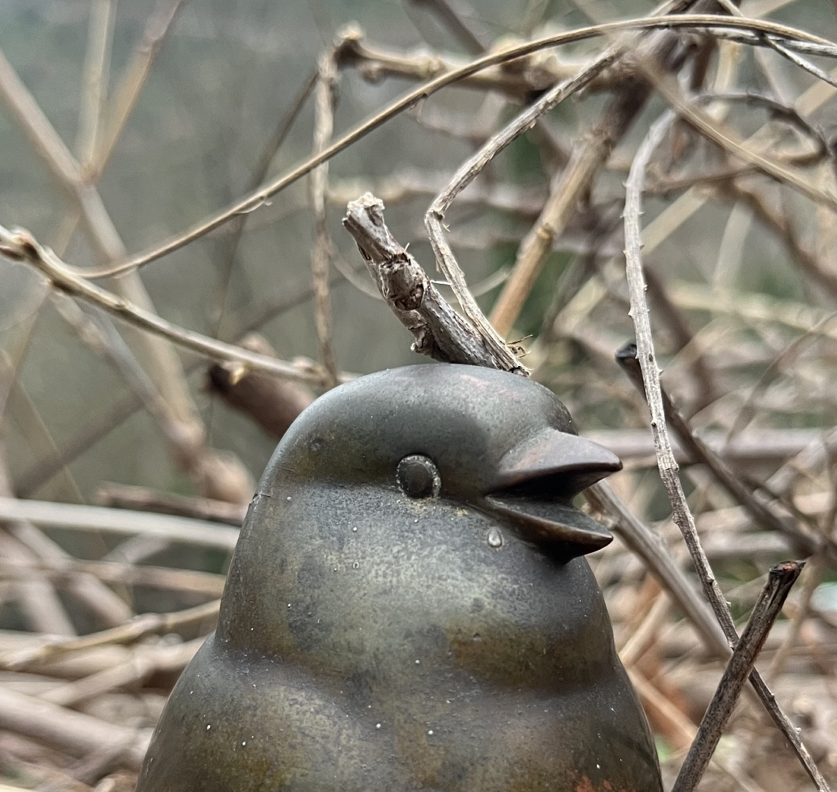 Bronze Jean Martel -photo-1