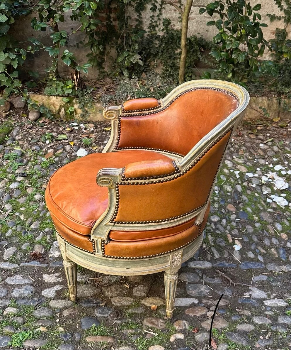 Louis XVI Office Chair