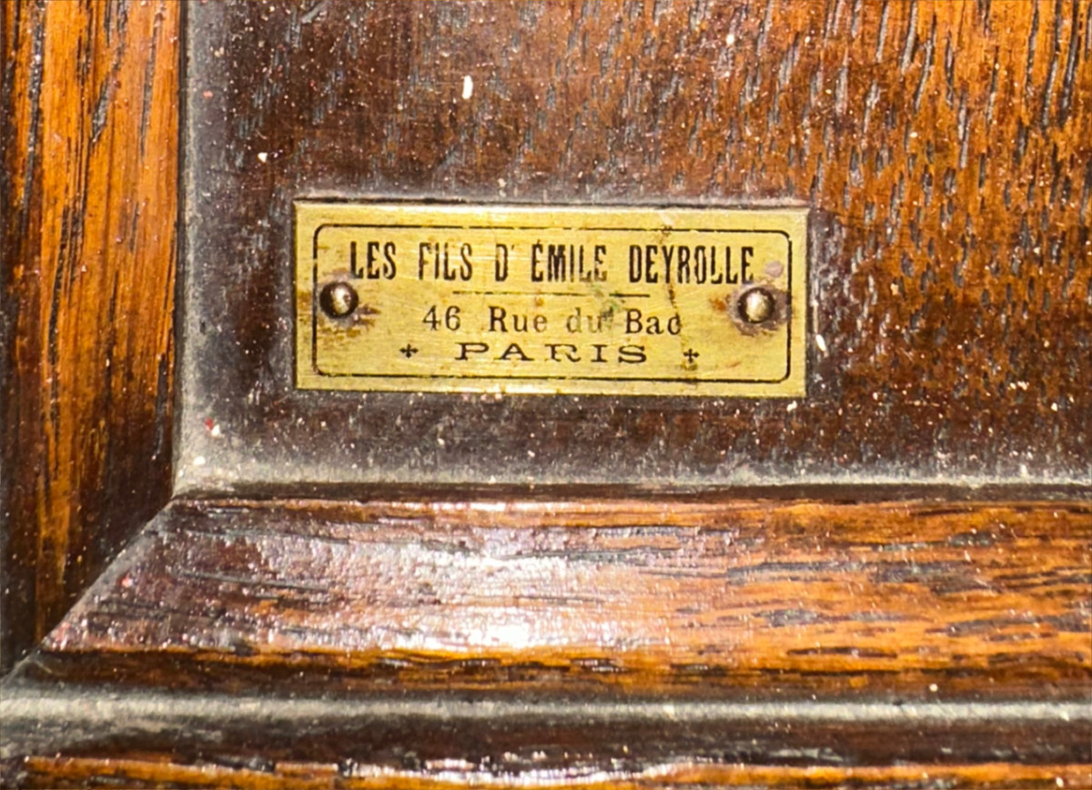 Ecorché anatomique  Deyrolle-photo-3