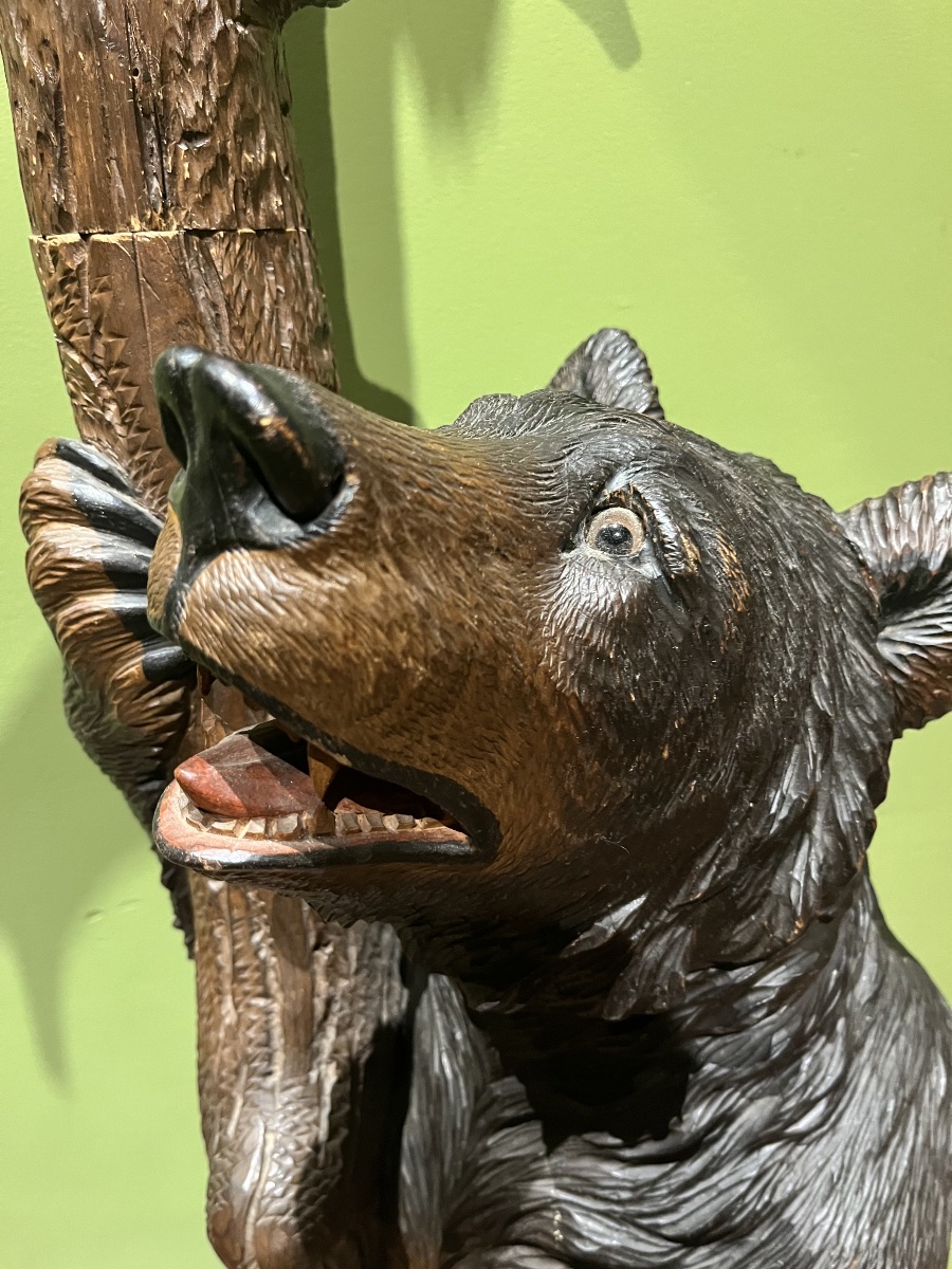 Black Forest Bear Umbrella And Coat Stand-photo-4