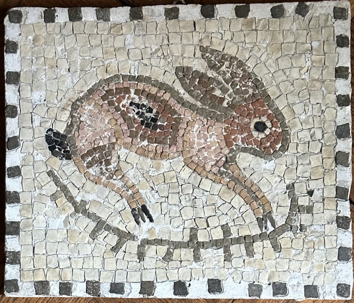 Roman Mosaic Floor 