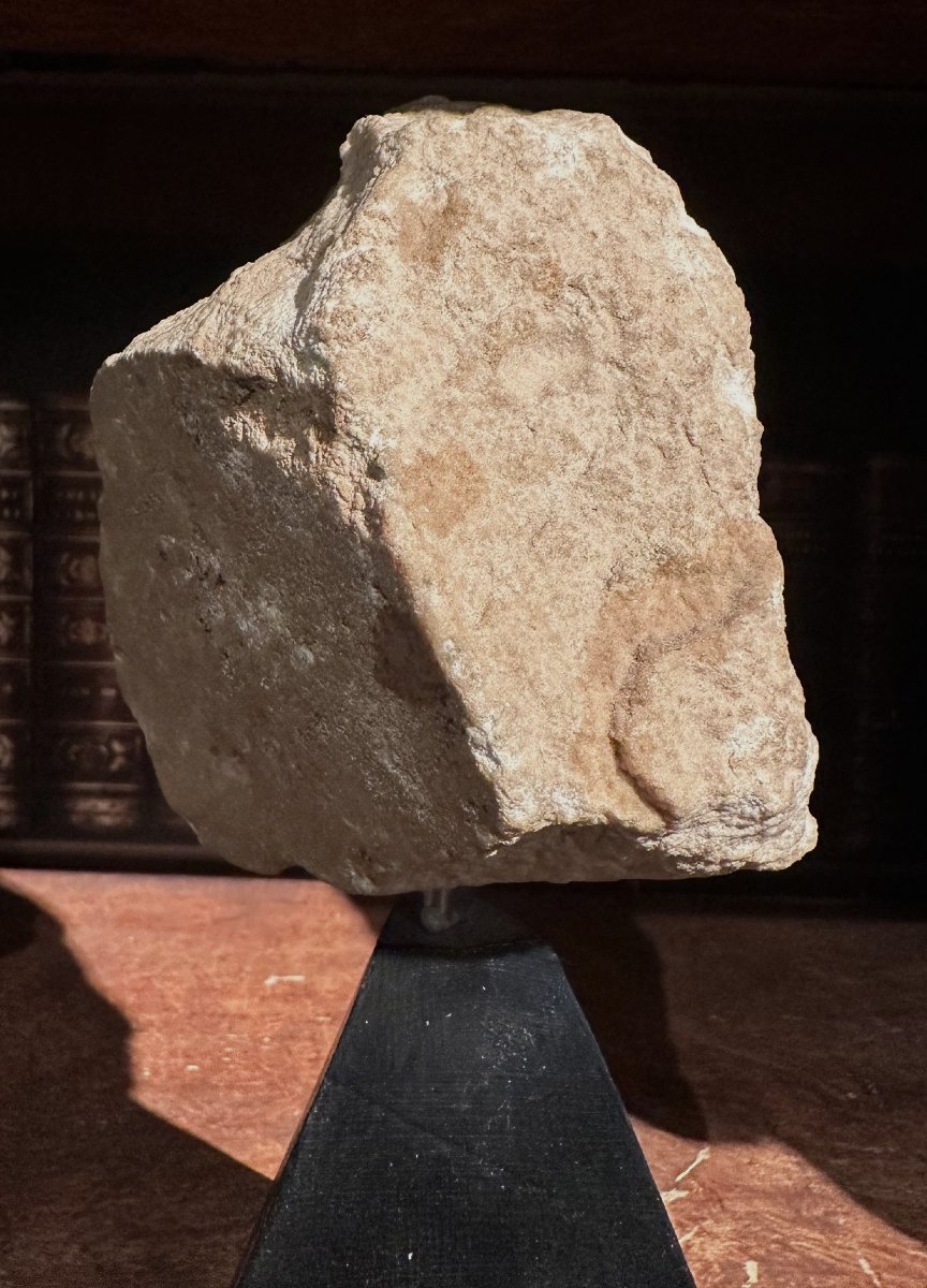 Archaic Phoenician Marble Head -photo-1