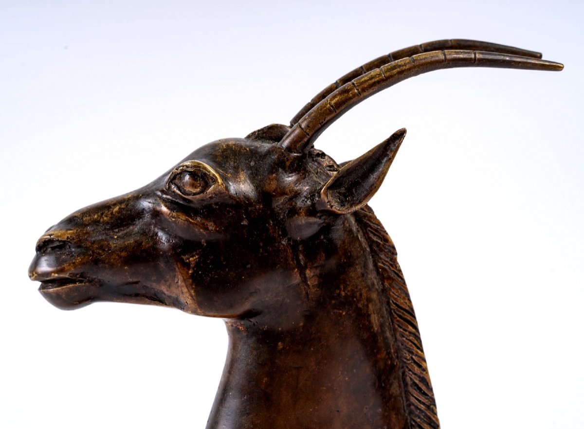 Sculpture Bronze - Tête Oryx - Fonte Début XXème-photo-2