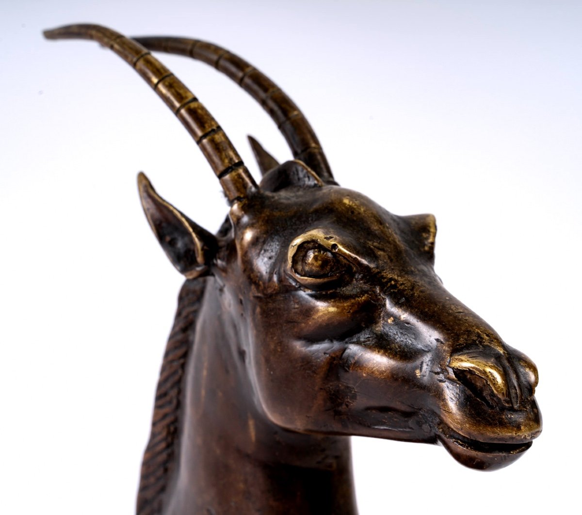 Sculpture Bronze - Tête Oryx - Fonte Début XXème-photo-3