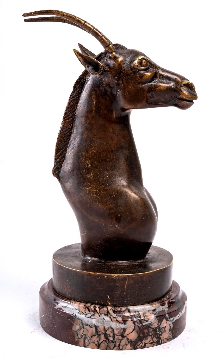 Sculpture Bronze - Tête Oryx - Fonte Début XXème-photo-2