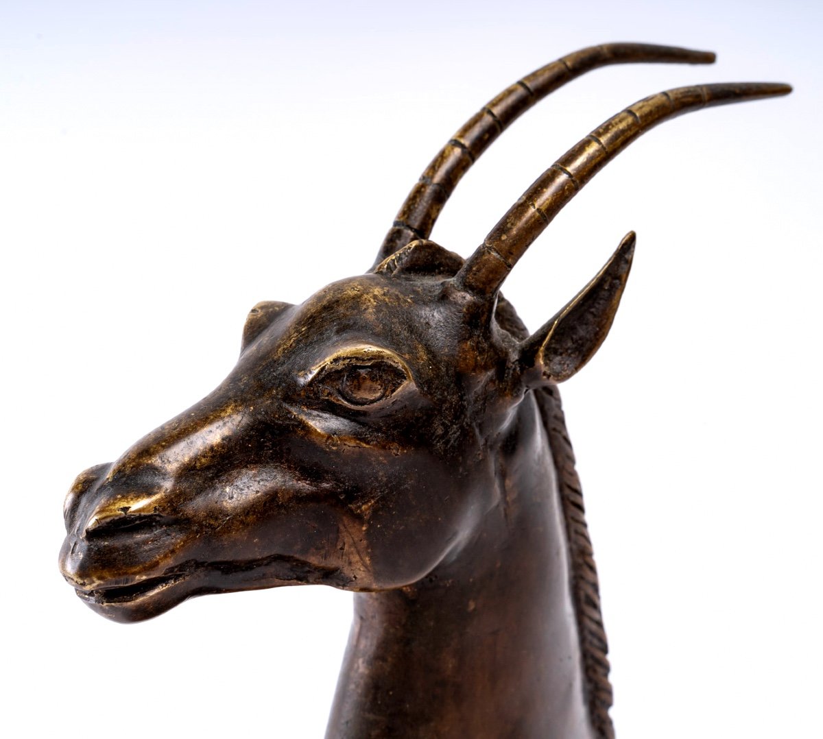 Sculpture Bronze - Tête Oryx - Fonte Début XXème-photo-4