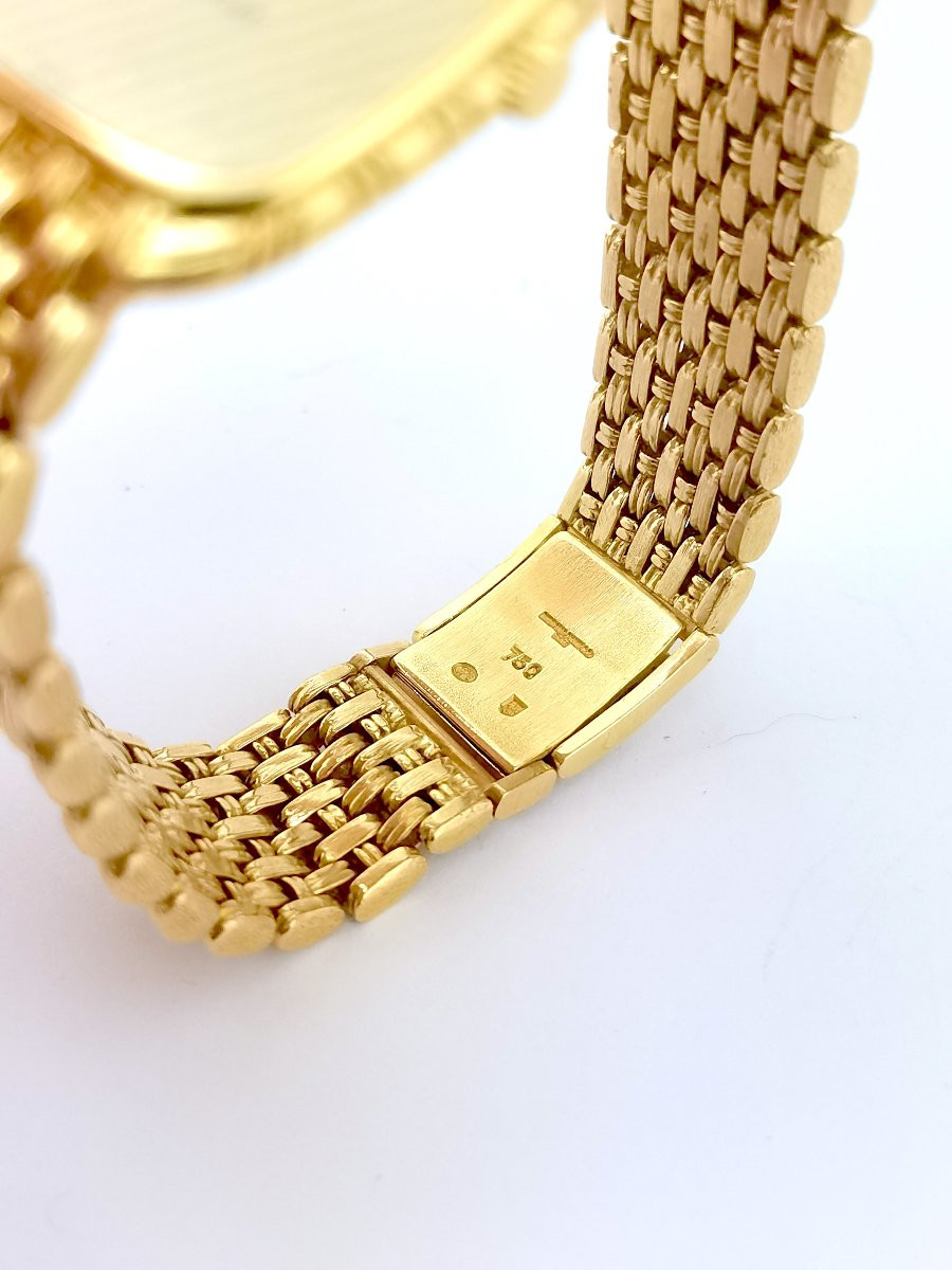 Audemars Piguet - Barrel -photo-2