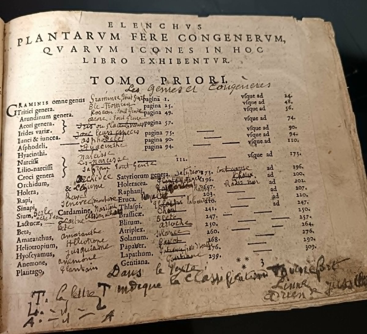 Matthias de l’OBEL (1538-1616) Icones Stirpium Seu Plantarum ... Anvers Plantin Moretus 1591 -photo-4