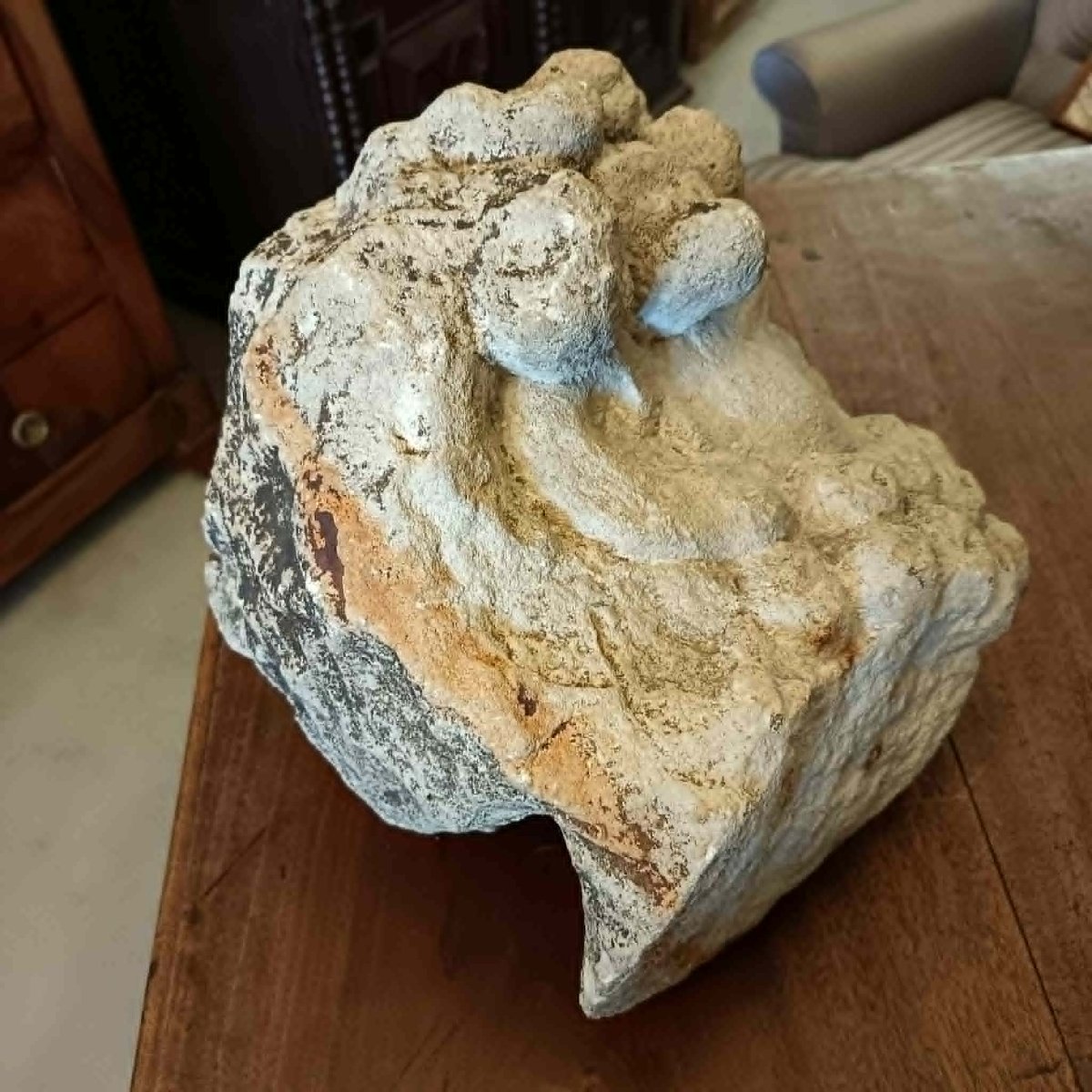 “man’s Head”  Sculpted Fragment In The Classical Style Or Depicting A Biblical Figure. 18th/19th Century -photo-2