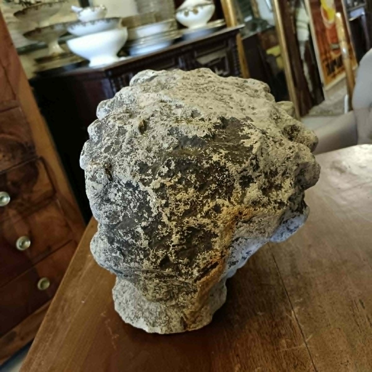 “man’s Head”  Sculpted Fragment In The Classical Style Or Depicting A Biblical Figure. 18th/19th Century -photo-3