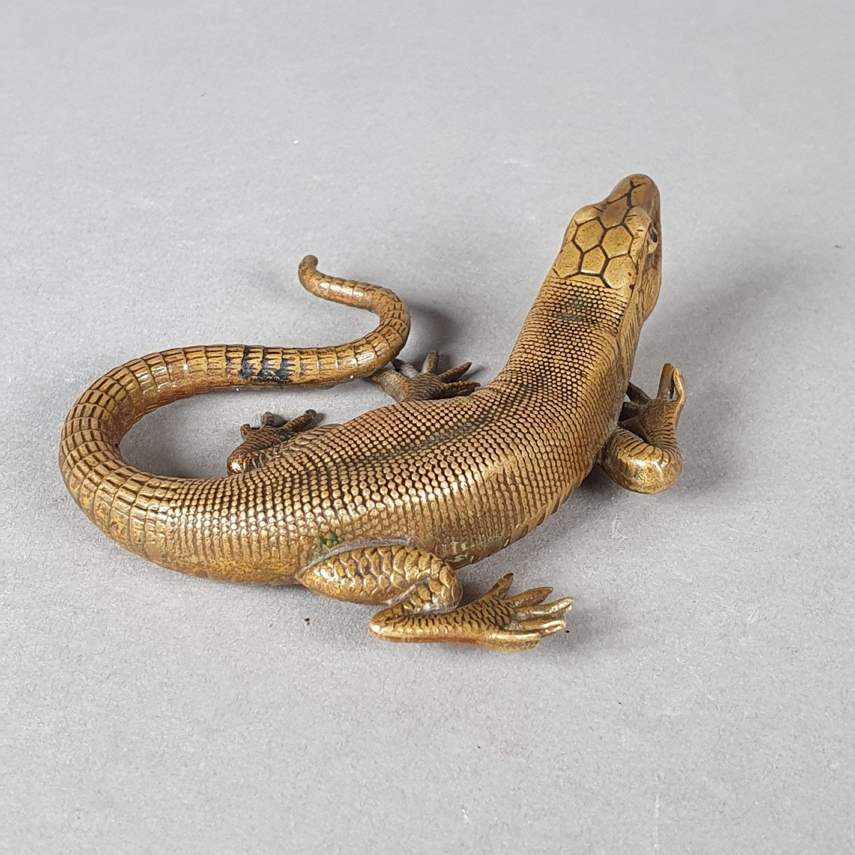 Realistic Bronze Lizard, 19th Century-photo-2