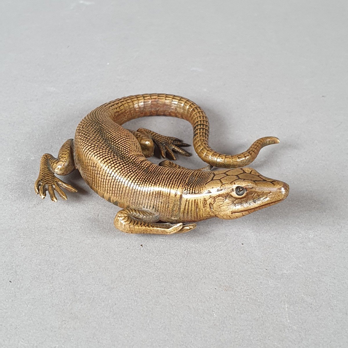 Realistic Bronze Lizard, 19th Century-photo-4