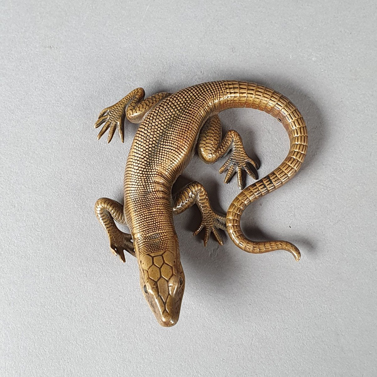 Realistic Bronze Lizard, 19th Century-photo-1