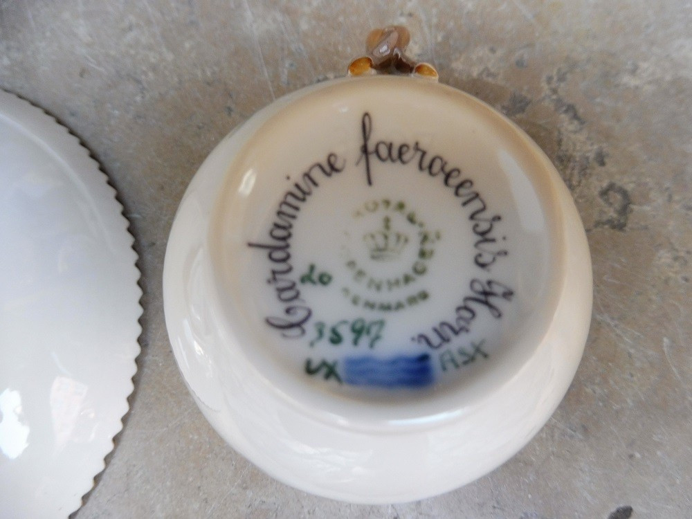 Copenhagen Porcelain Cup And Saucer, Flora Danica Model -photo-3