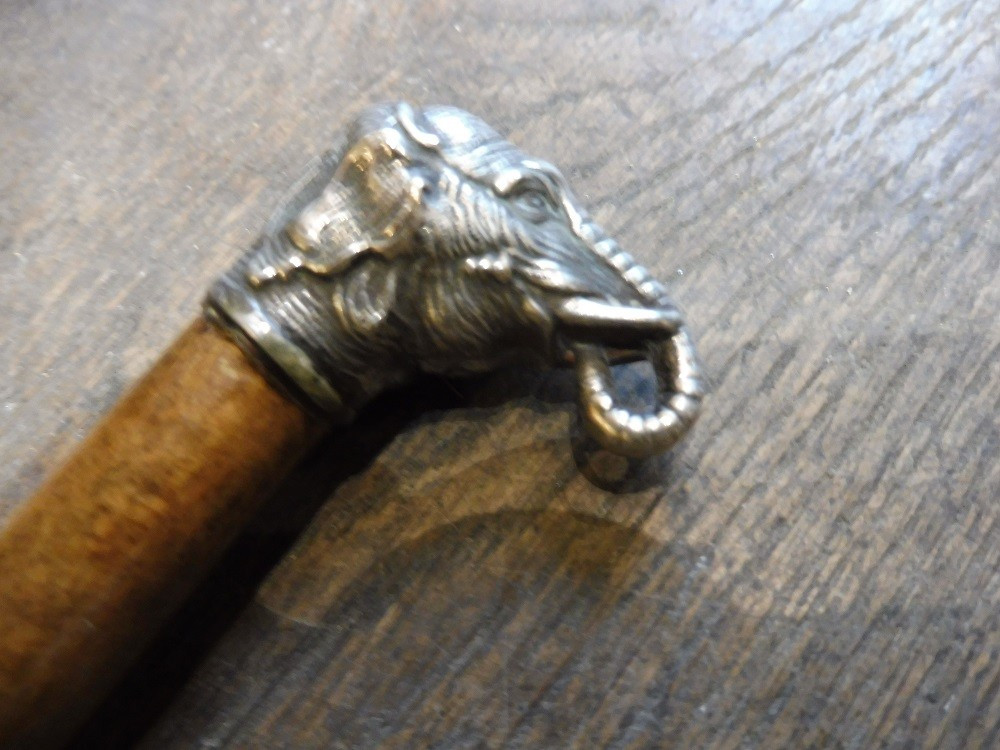 19th Century Silver Metal Cane With Elephant Head Handle-photo-2