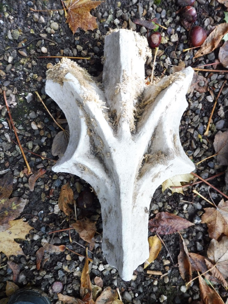 Gothic Stone Lapidary Element.