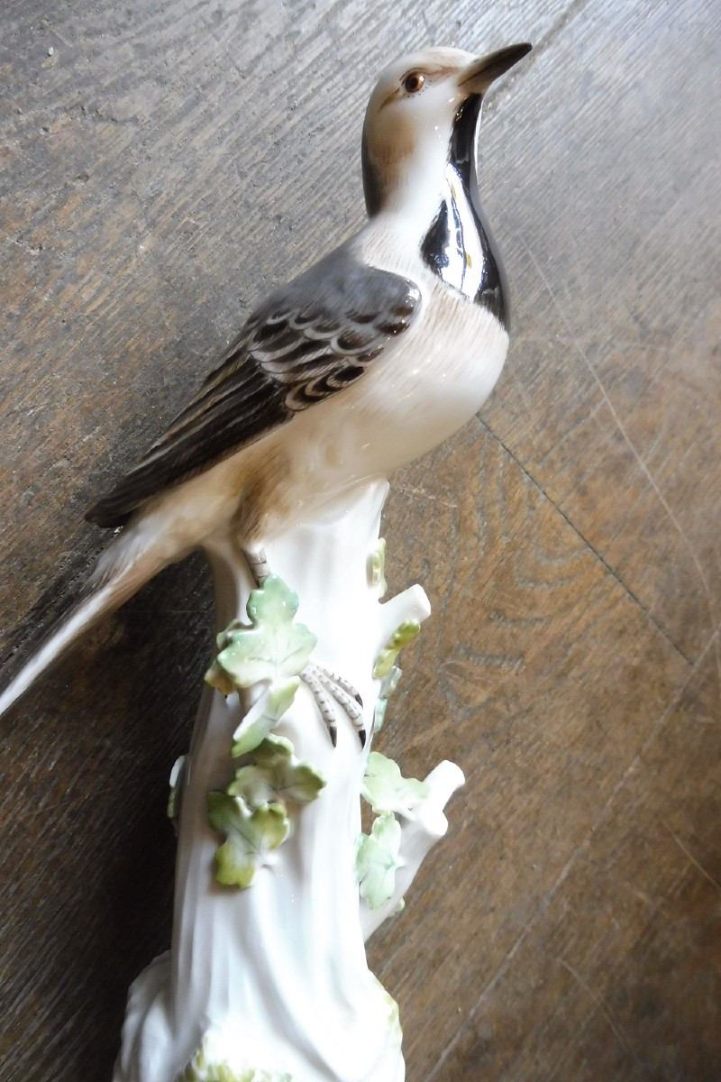 Oiseau  perché  en porcelaine  de Meissen  -photo-3