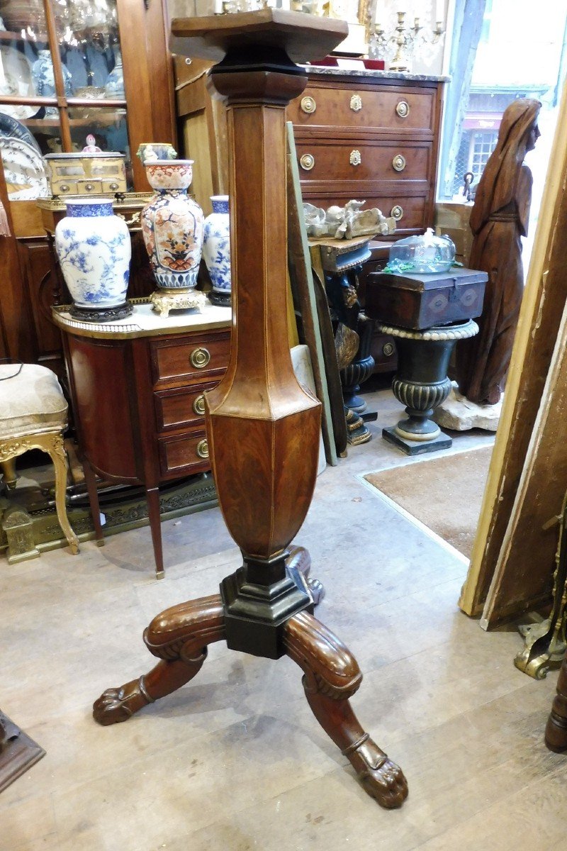 Pedestal  In Mahogany , Walnut 19 Century  