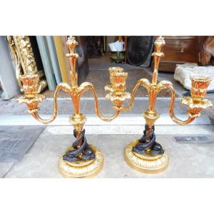 Pair Of 19th Century Patinated And Gilded Bronze Candelabras 