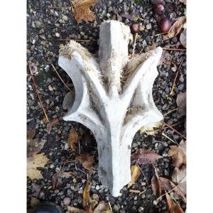 Gothic Stone Lapidary Element.