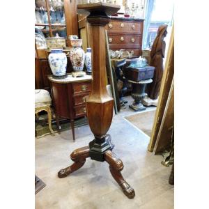 Pedestal  In Mahogany , Walnut 19 Century  