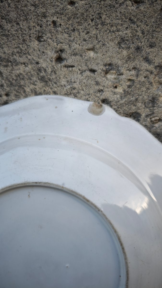 Belle Paire d assiette Docia Italie XVIIIeme. -photo-3