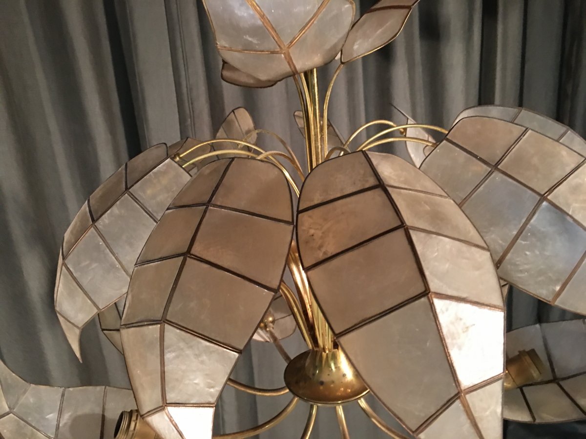 Light 1970-photo-3