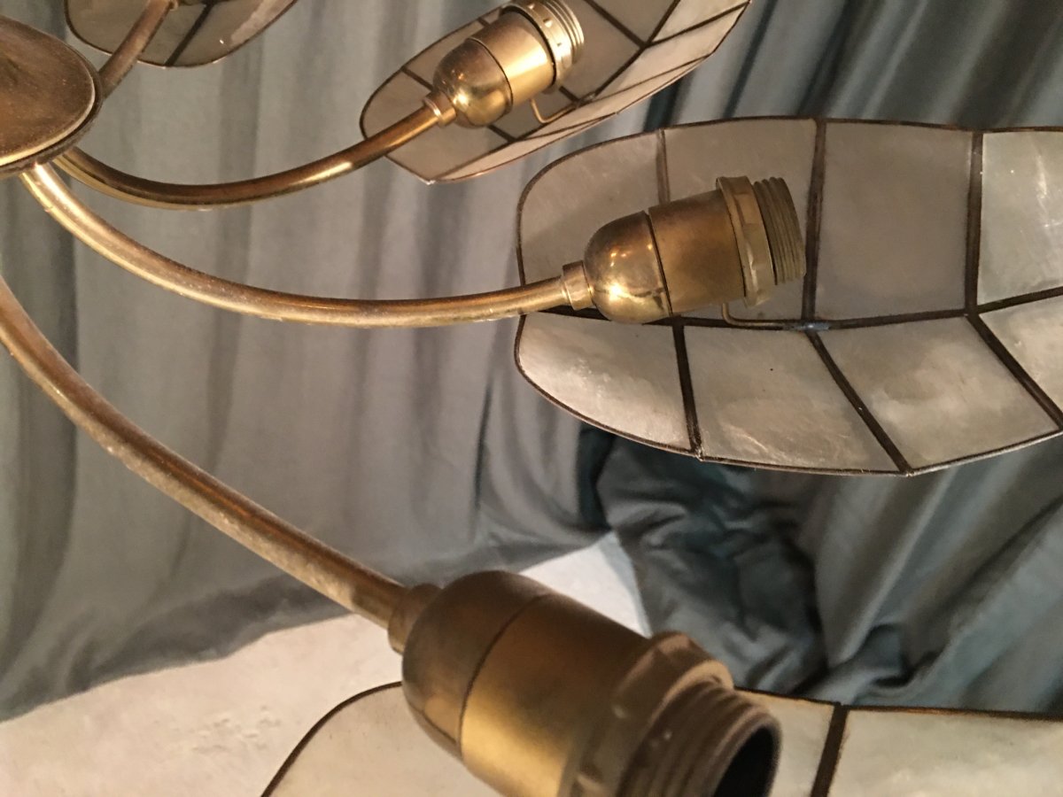 Light 1970-photo-2