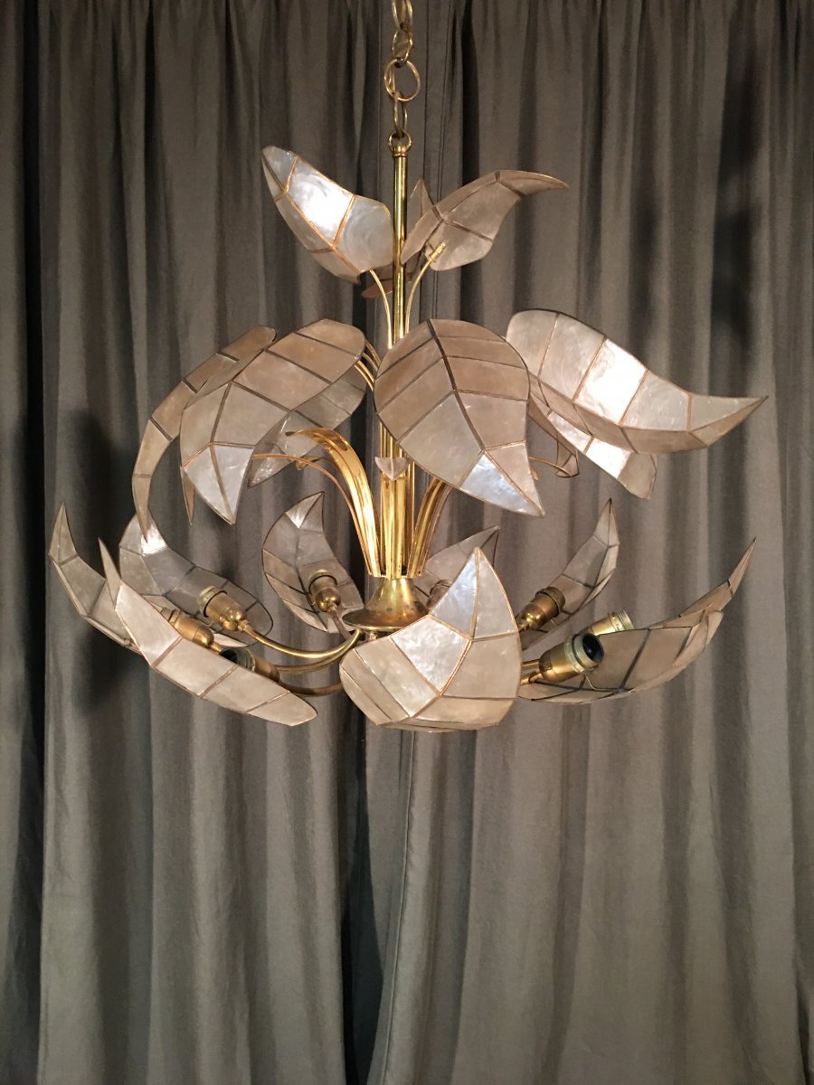Light 1970-photo-8