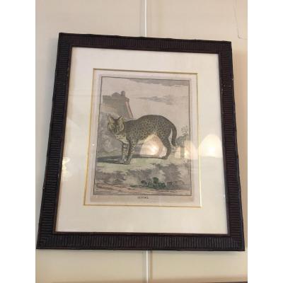 Lot Of Four Framed Prints