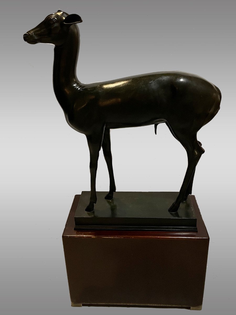 Jeune cerf grandeur nature en bronze signé Chiurazzi 