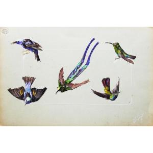 Maurice Lederlé Dessin original Aquarelle 1907 Études d'oiseaux Beaux-arts de Rennes Bristol 