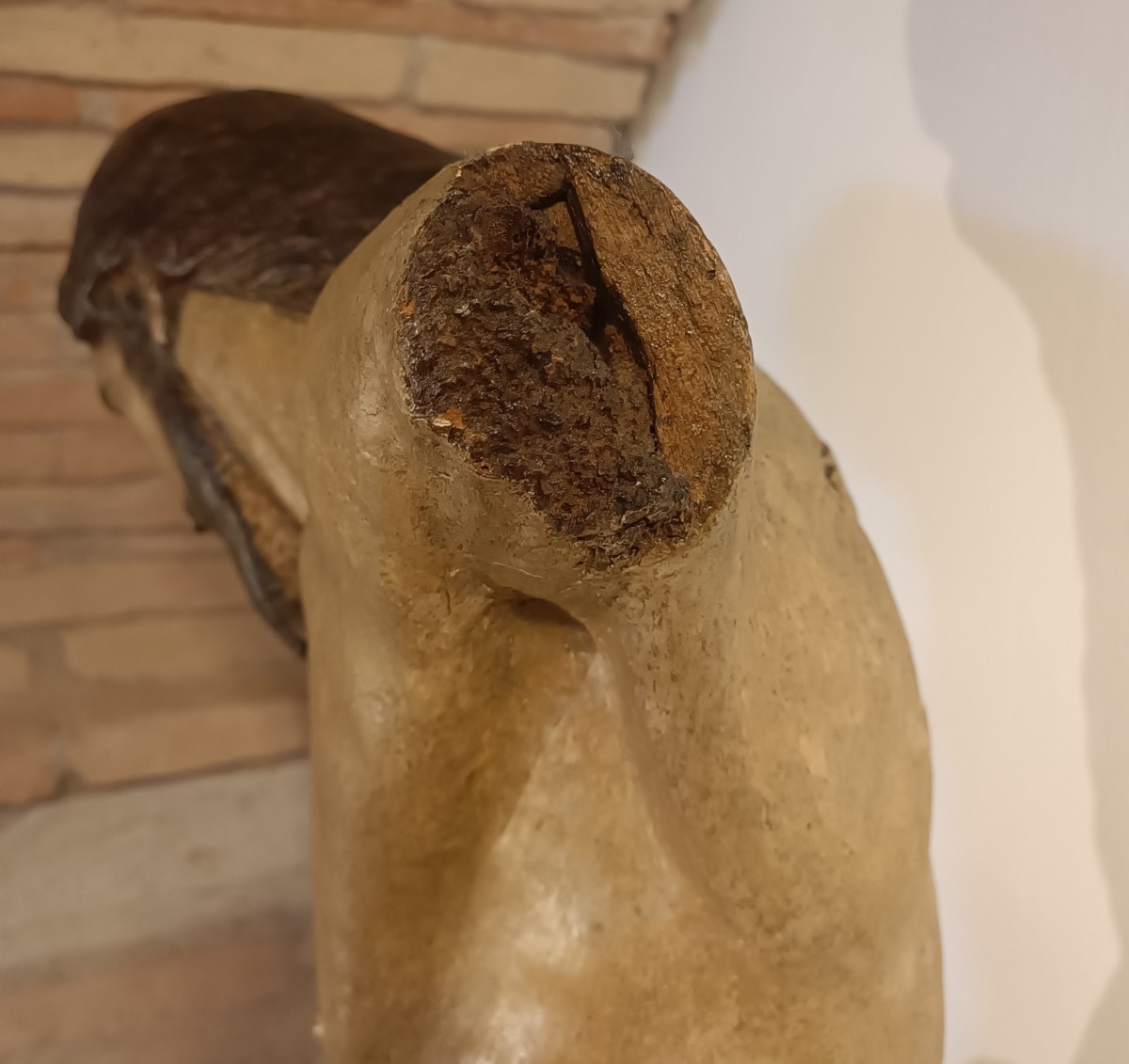 Torse du Christ en bois polychrome – Fin XVIe siècle, école ombro-toscane-photo-5