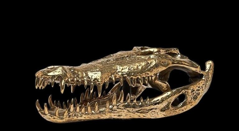 Gilded Bronze Crocodile Head-photo-3
