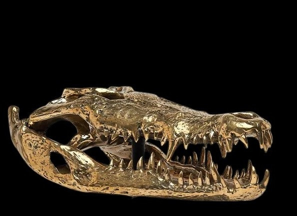 Gilded Bronze Crocodile Head-photo-3