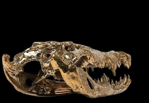 Gilded Bronze Crocodile Head-photo-4