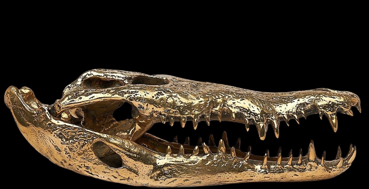 Gilded Bronze Crocodile Head-photo-5