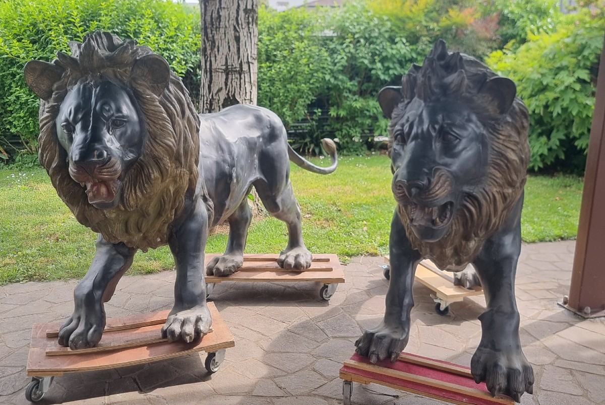 Paire d'énormes lions en bronze du XIXe siècle-photo-5