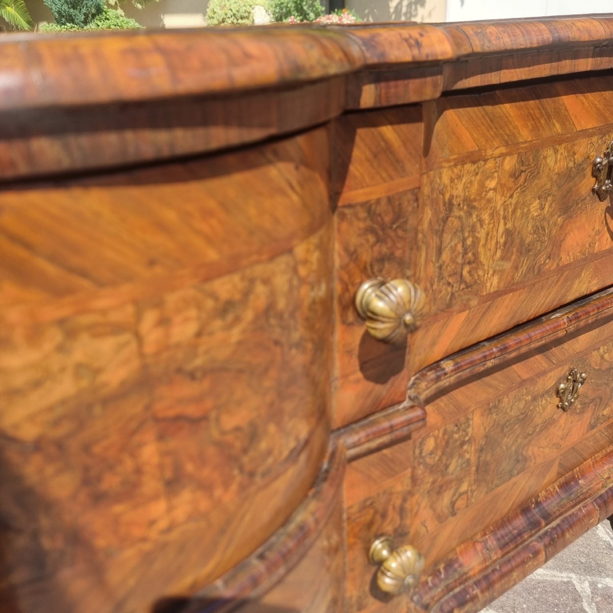 Commode ferraraise du XVIIIe siècle en loupe de noyer-photo-2