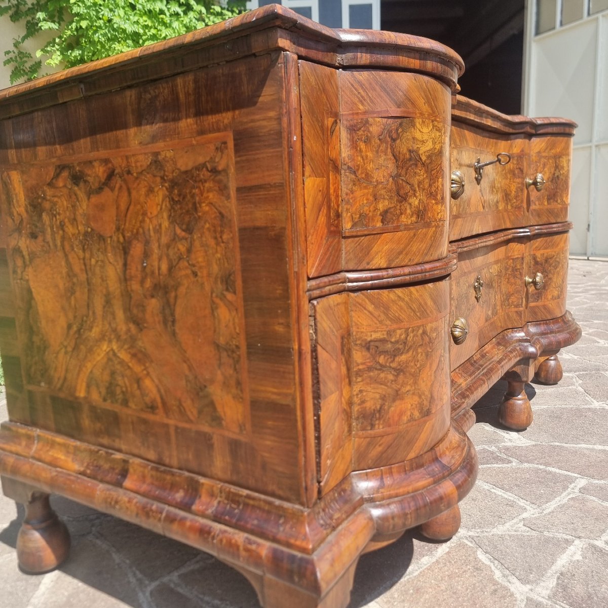 Commode ferraraise du XVIIIe siècle en loupe de noyer-photo-3