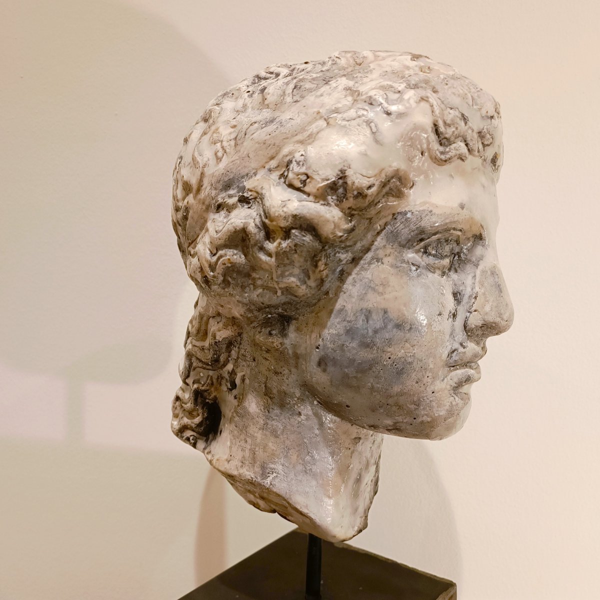 Sculpture en cire 1920  Tête de Junon d'une académie de sculpture parisienne-photo-3